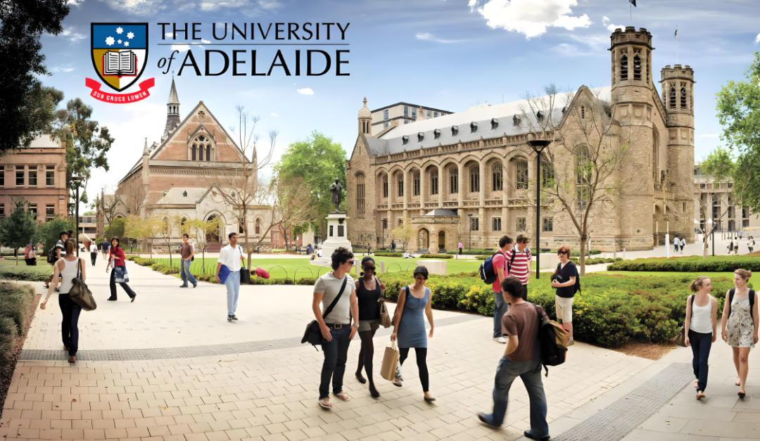 澳洲阿德莱德大学（Adelaide）录取要求及奖学金申请（附详细时间规划）（99）