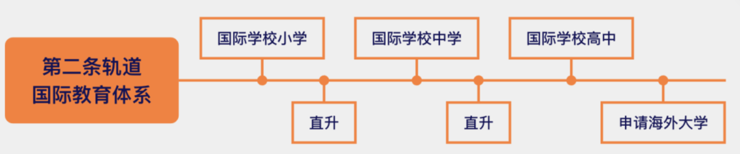 3条升学轨道，什么“轨”适合我？