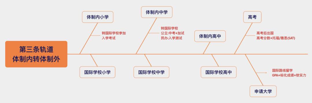 3条升学轨道，什么“轨”适合我？