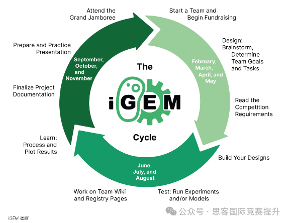 iGEM全球金奖！iGEM取得最高奖项需要做些什么？