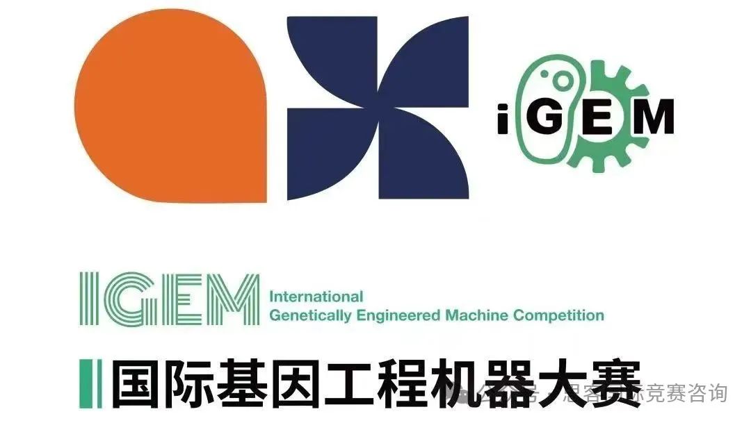 iGEM单项奖有哪些？iGEM单项奖含金量如何？2025年iGEM竞赛抢先组队！