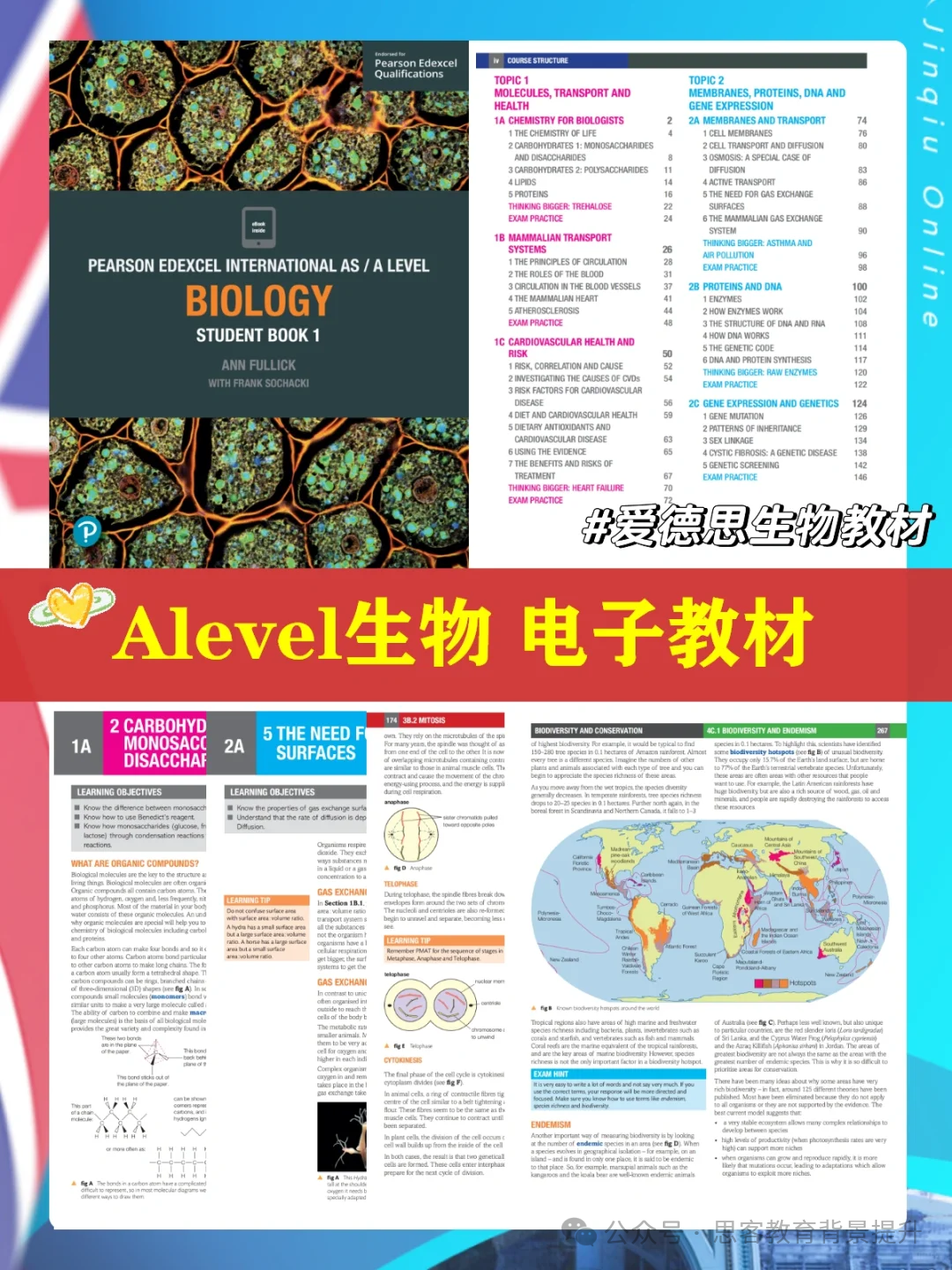 Alevel生物学什么？Alevel生物核心知识点/考试难点解析，附备考教材