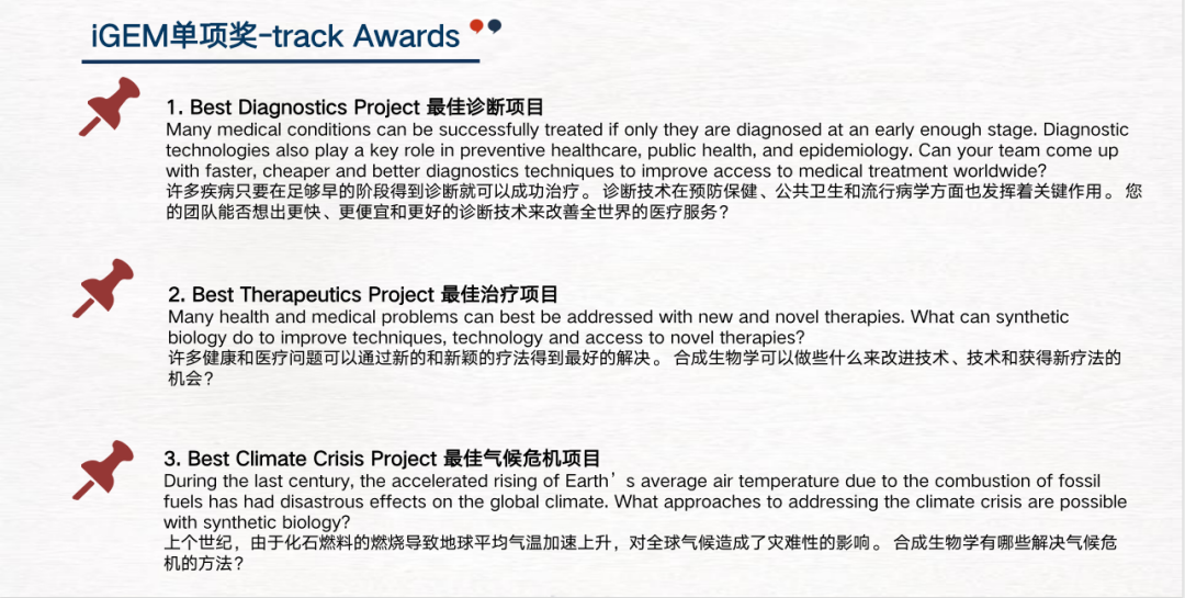 iGEM队伍怎么分工，单项奖的设置有哪些？2025igem怎么准备