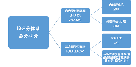 超实用选课指南：如何成为IBDP六边形战士