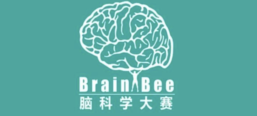 5-12年级必看！USABO/BBO/Brain Bee三大顶流生物竞赛对比！参加那个生物竞赛更容易获奖？！