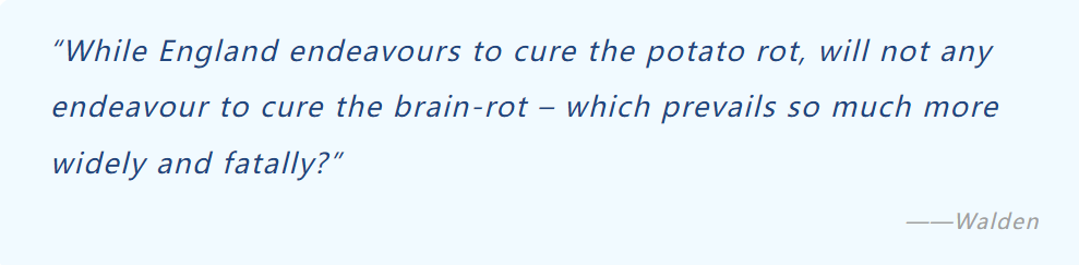 2024 牛津年度词汇揭晓！“brain rot”说的是你吗？