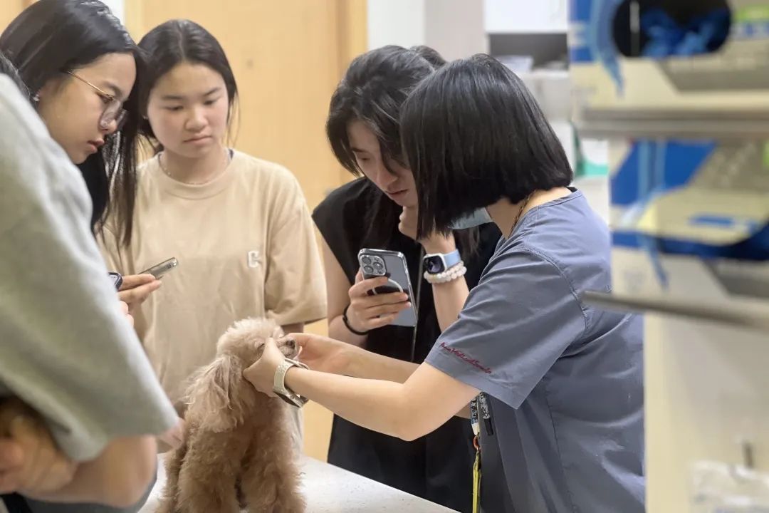 【寒假医学合集】领先医学机构一线实践，打造独具匠心的升学背景