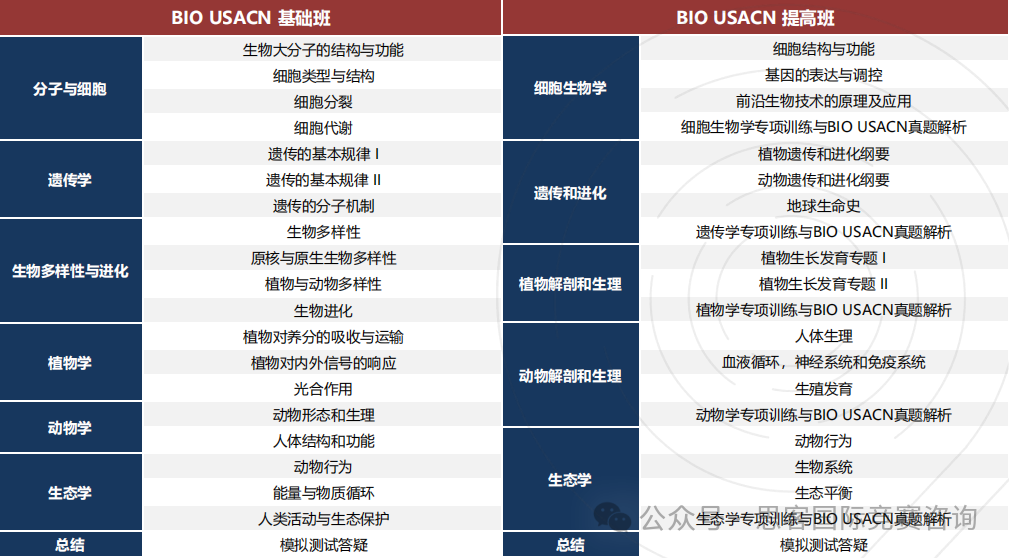 就看这篇！USABO考察什么知识点？USABO竞赛难度分析！附USABO竞赛培训课程