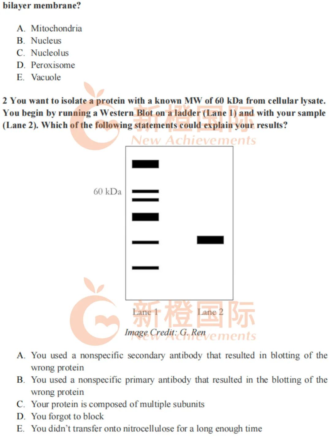 生物竞赛大变天！！USABO全新考纲怎么备考？