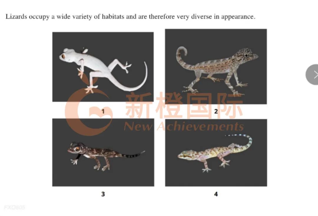 生物竞赛大变天！！USABO全新考纲怎么备考？