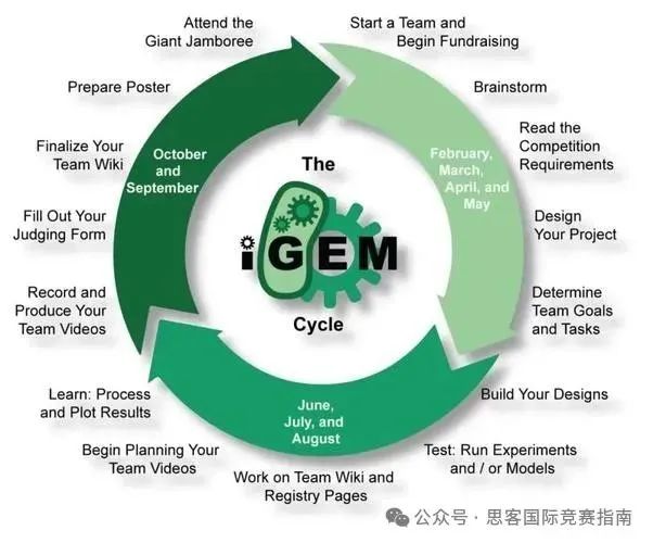 全学科都在打的iGEM竞赛！2025iGEM竞赛课题如何选择？