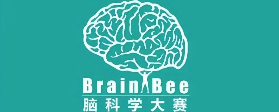 2025上半年适合准备参加的8个国际竞赛，涵盖多个学科，国际生不容错过！