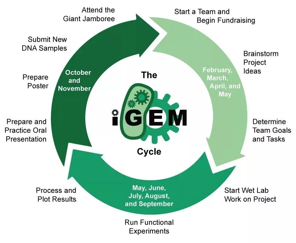 iGEM国际遗传基因工程机器大赛 2025新赛季组队备赛报名中！