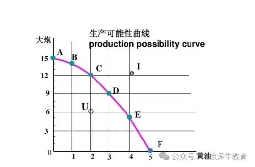 IB经济学什么？重点是什么？深度解析IB经济！IB经济冲刺班占位中