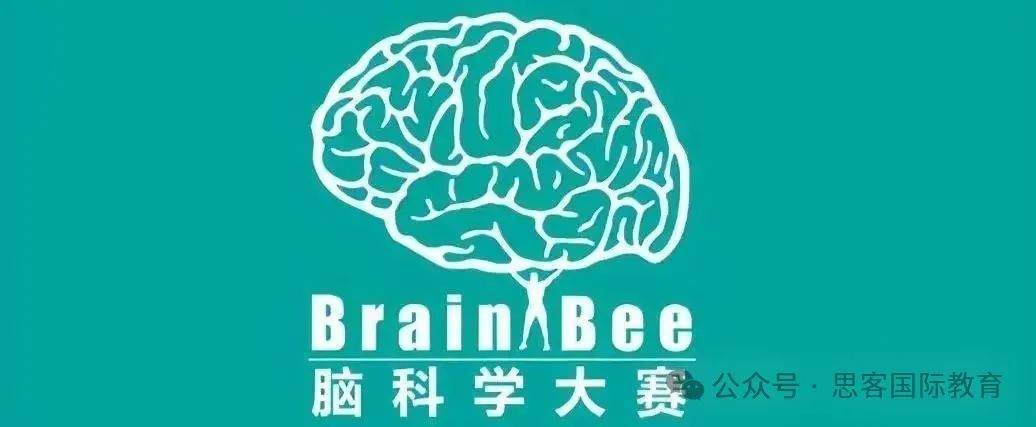 2025年BrainBee脑科学大赛冲刺备考全攻略！