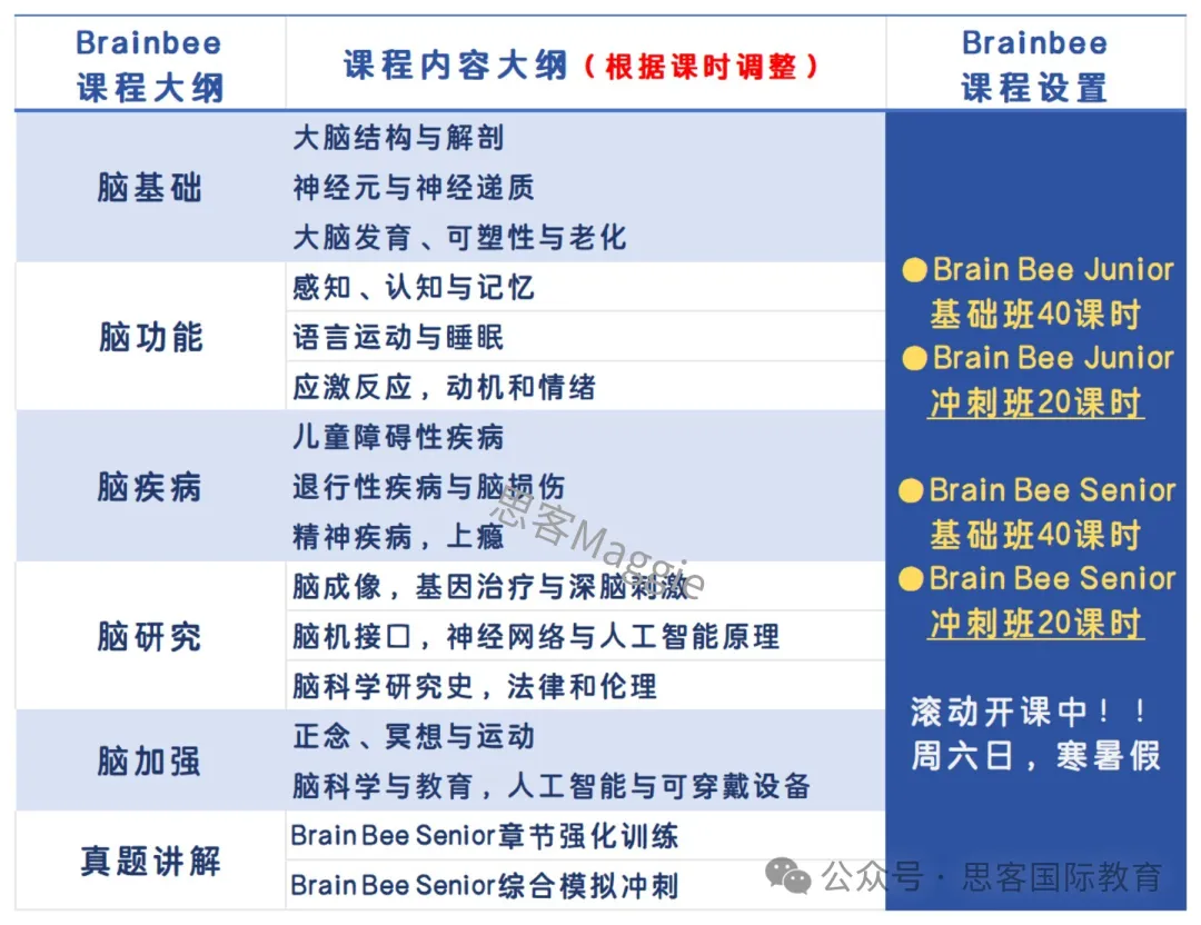 5-12年级一定要知道~2025年BrainBee脑科学大赛冲刺备考全攻略！附BrainBee培训