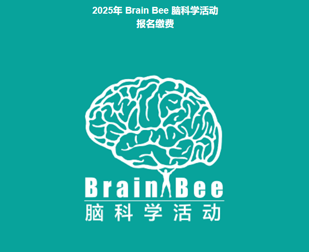 2025BrainBee脑科学大赛个人报名开启！1月10号截止报名！