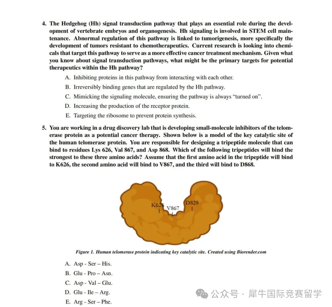 2025年USABO生物竞赛中国赛区报名开启！