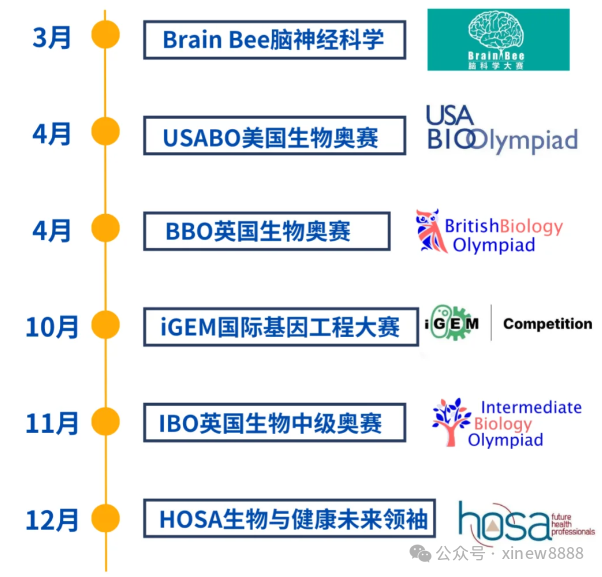 2025年Brain Bee脑科学大赛报名即将截止！考试报名方式/考试时间安排/考试大纲/备考课程！