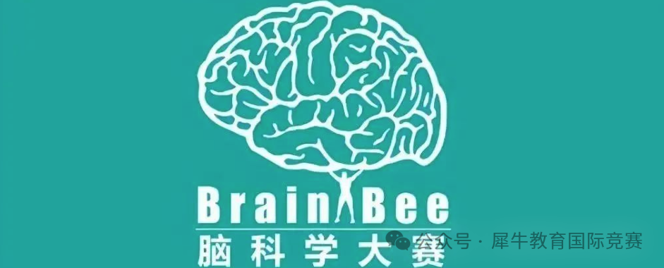 2025年Brainbee竞赛个人报名开始！Brainbee竞赛高效备考注意事项梳理！