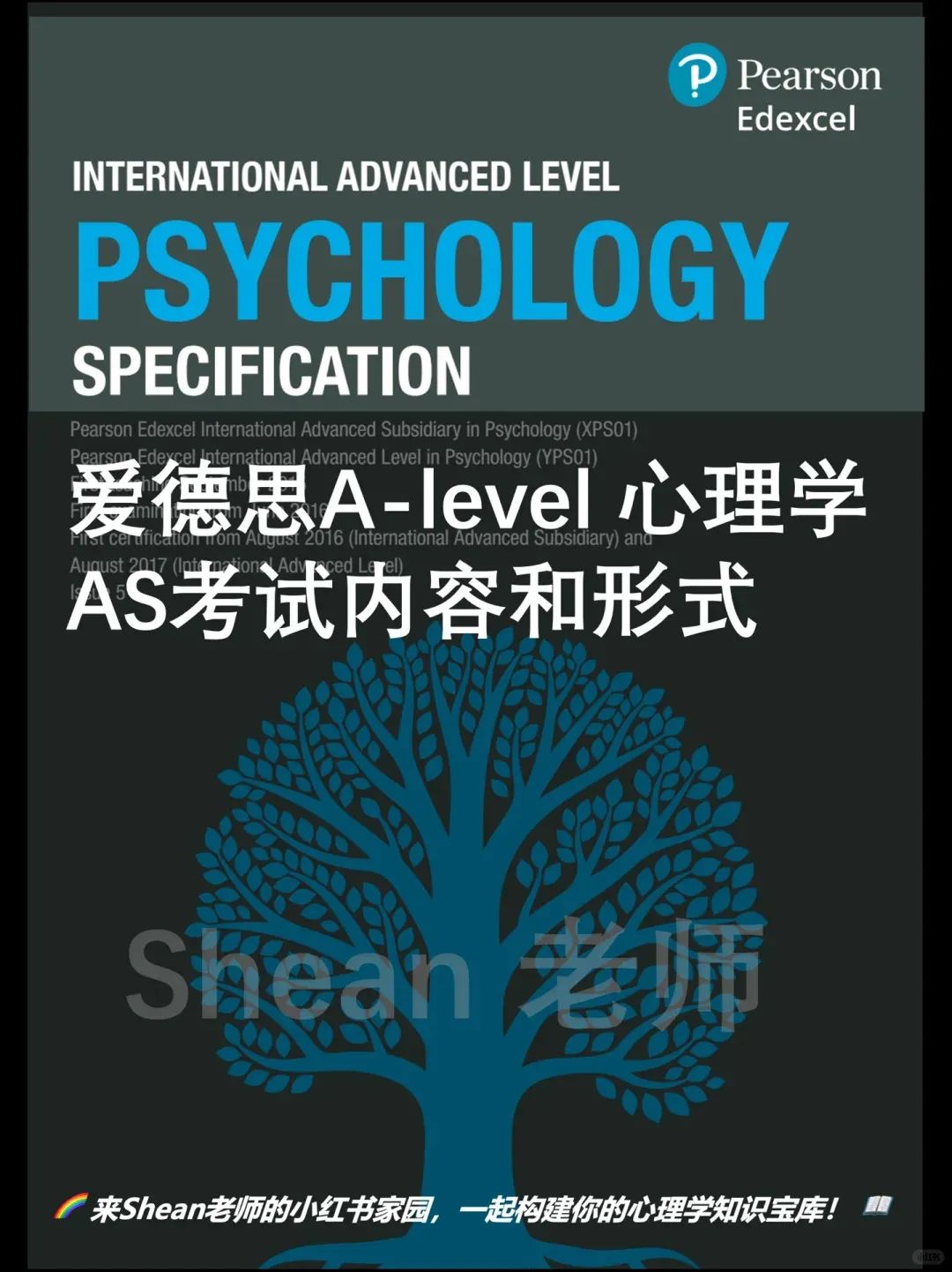 这些科目竟是ALevel最难课程？2025年最受英国大学欢迎的ALevel选课组合有哪些？