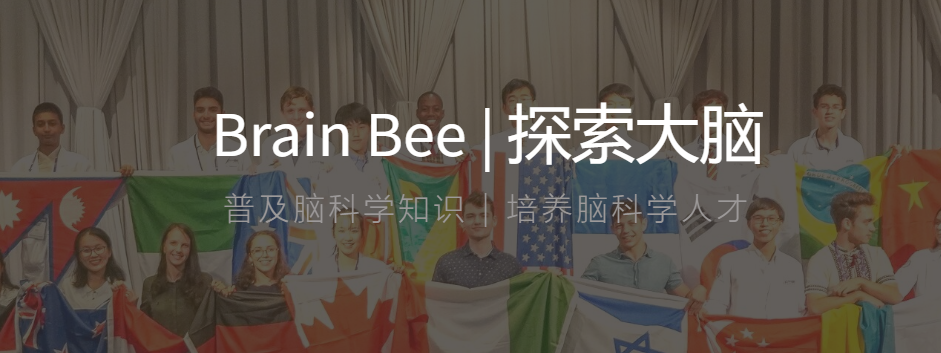 BrainBee Senior/Junior 脑科学大赛培训课程