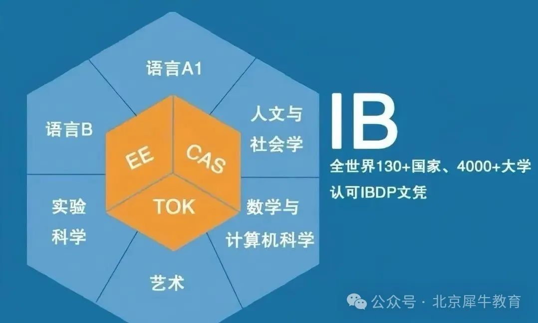 【干货】IB怎么学？适合哪种孩子？一文深度分析IB体系利弊！还有实力超硬寒假班，牛娃强势组队中！