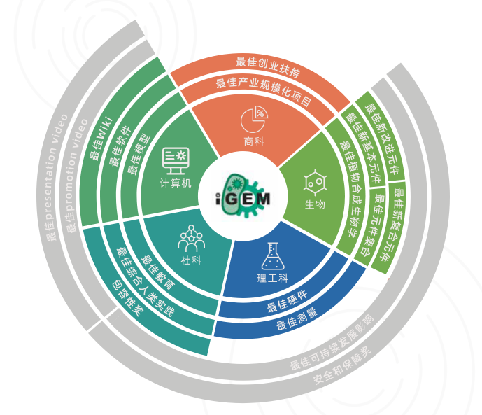 igem竞赛的评奖标准是什么？2025年igem比赛规划