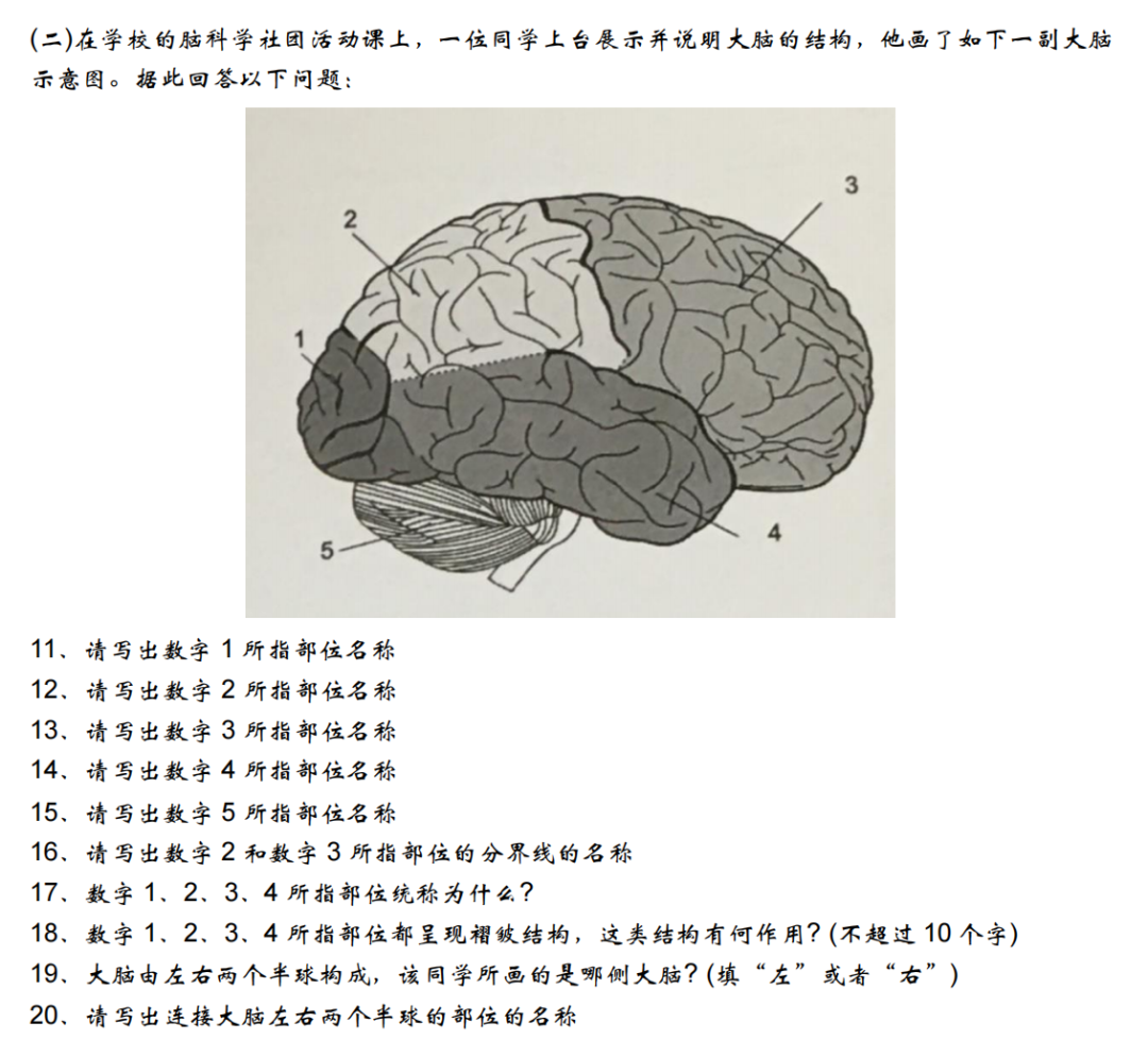 Brainbee生物竞赛地区赛考试安排及奖项设置！