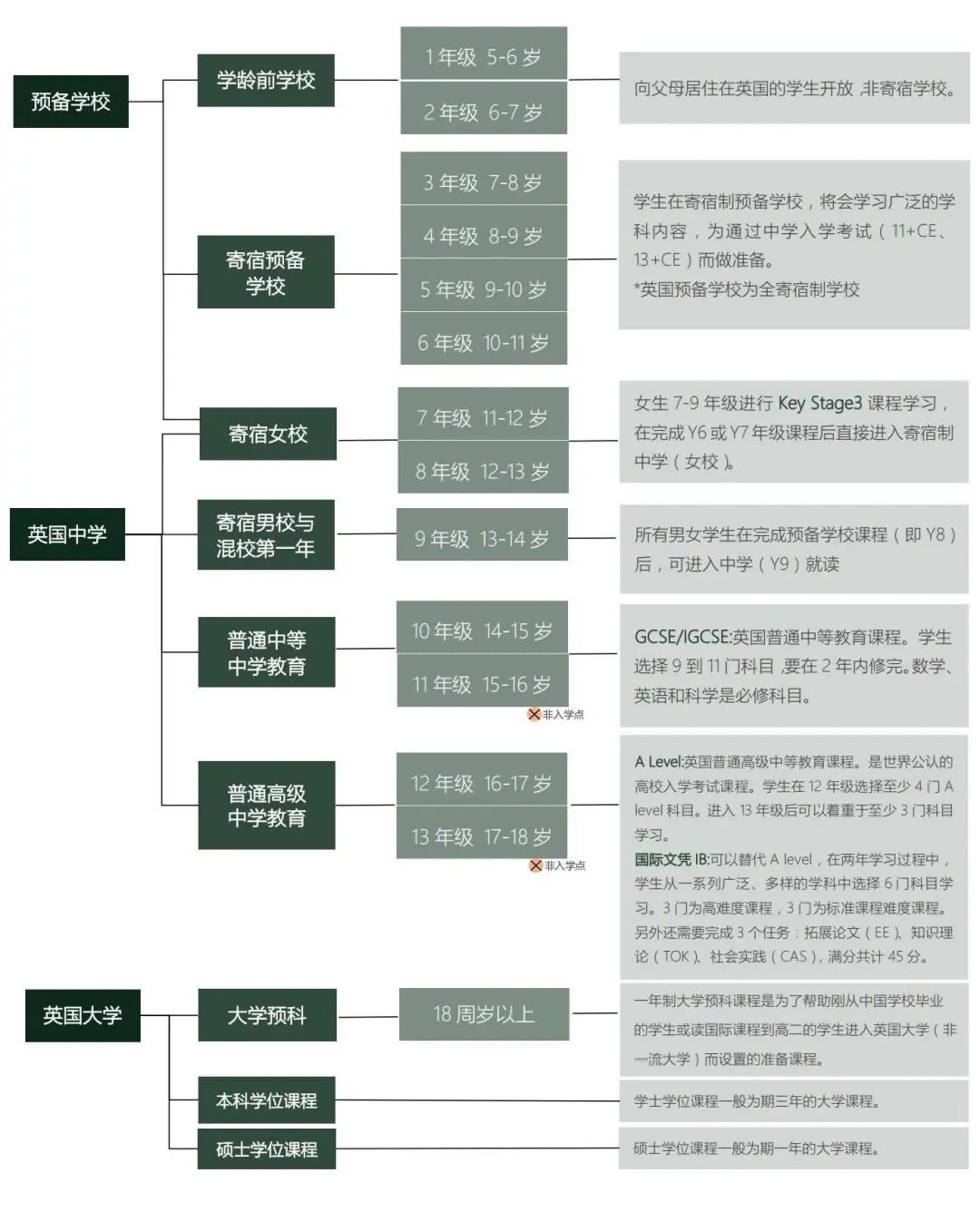 超干货！2025年英国低龄留学申请时间线&流程分享