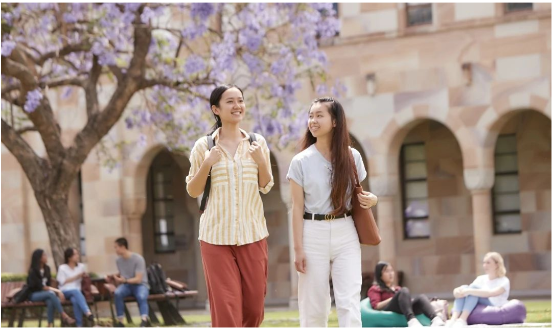 招生简章 | 上海财经大学国际硕士留学项目2025年招生简章