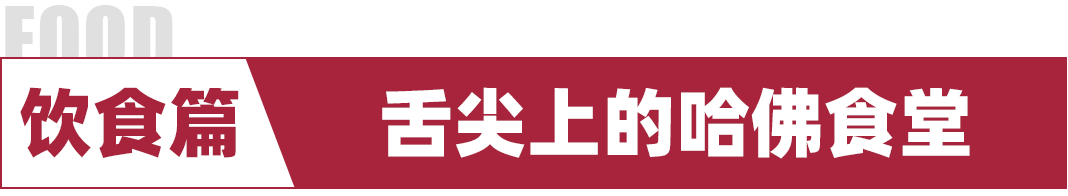 哈佛辩论海外营｜在哈佛大学学习演讲辩论是什么感受？带你深度体验营地生活，回顾这个夏天最美好难忘的相遇！