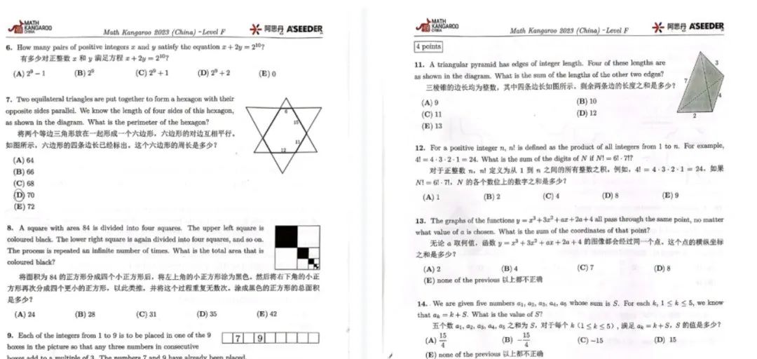 2025年袋鼠数学应该报什么辅导班？