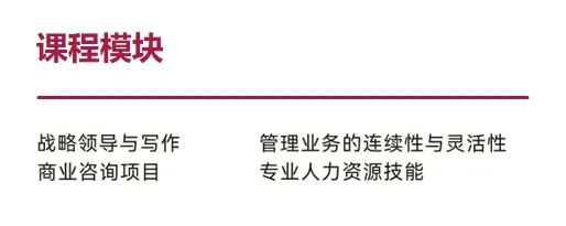 新加坡莎顿国际学院2025年招生简章