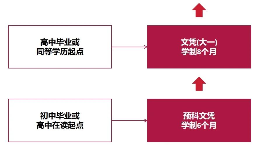 新加坡莎顿国际学院2025年招生简章