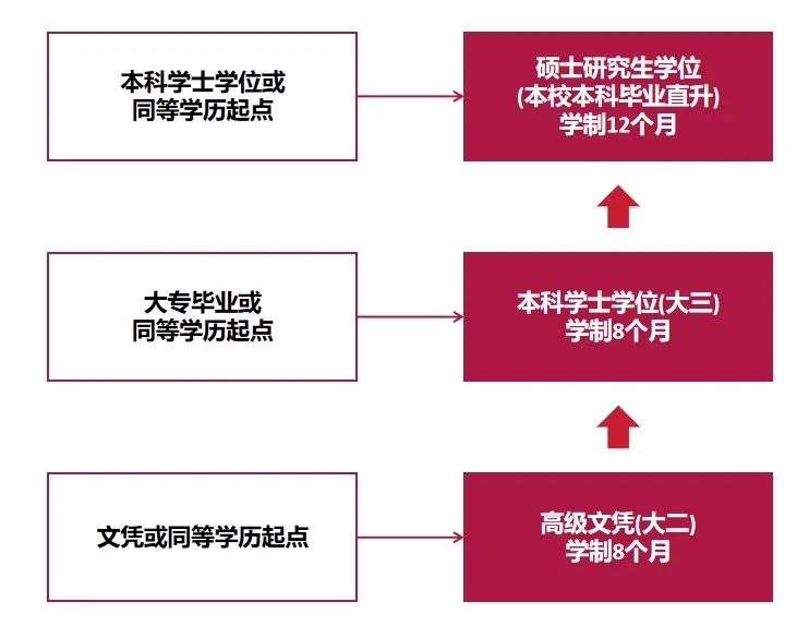 新加坡莎顿国际学院2025年招生简章