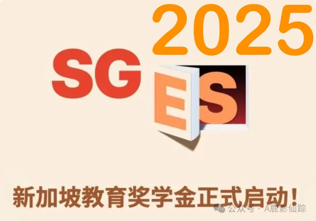 笔试+面试 备考策略 25年新加坡通商奖学金考试篇