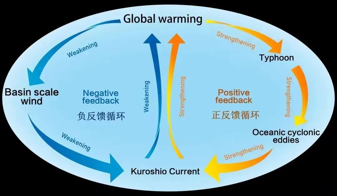 一文详解低龄学术竞赛“天花板”袋鼠数学，寒假备考准备正是时候！