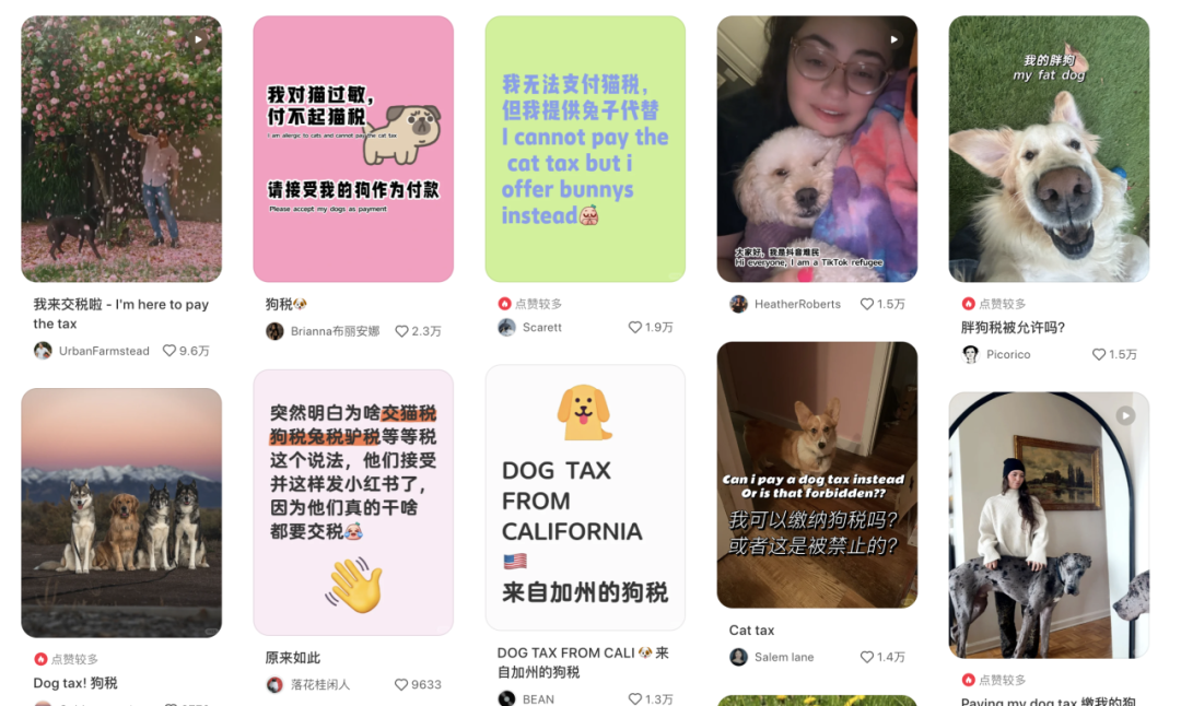 TikTok关停又复活，洋抖难民：我们不回去了！