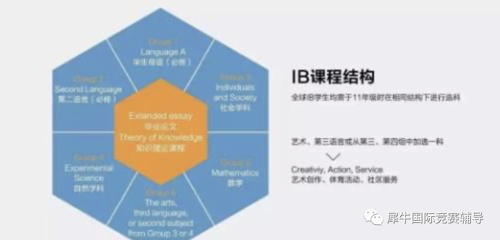 超全盘点！上海国际学校大揭秘，你的梦中情校在榜吗？盘点国际学校三大课程体系