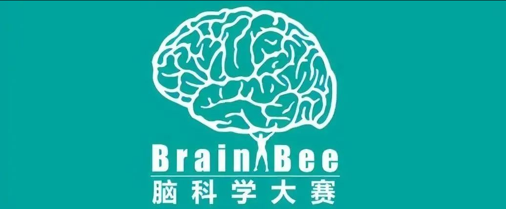 Brainbee脑科学竞赛内容涉及哪些Brainbee脑科学竞赛准备技巧有吗？有脑科学竞赛培训辅导课程吗？