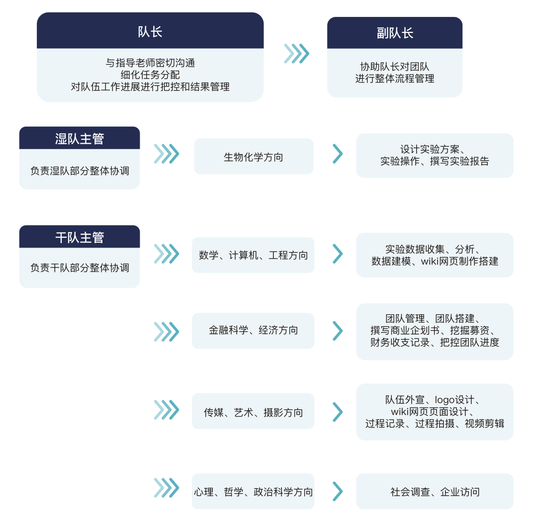 不同MBIT人格在iGEM比赛中担任什么角色？iGEM竞赛组队人数是多少？