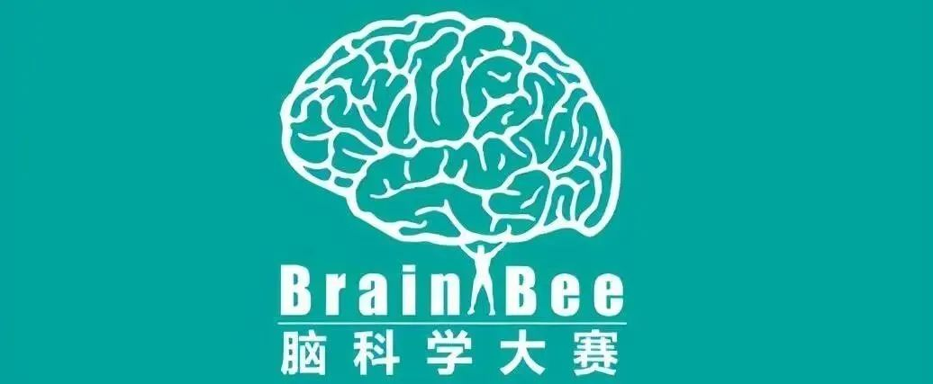 国际生物竞赛优势有哪些？哪些人需要参加生物竞赛？机构生物竞赛直通车课程~