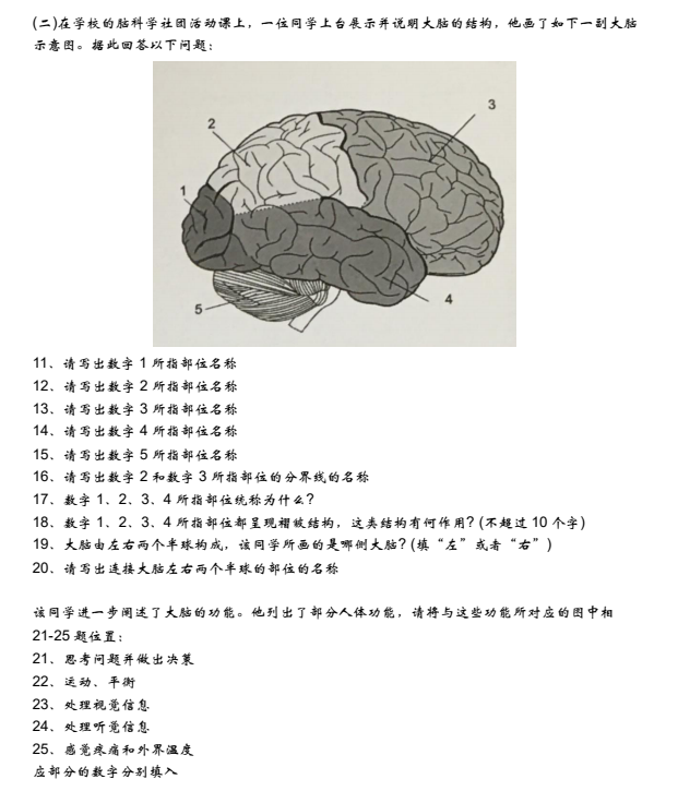 2025年Brain Bee脑科学大赛最新考纲/历年真题