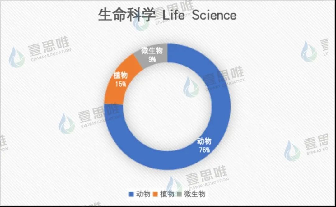 2024年壹思唯托福项目年度复盘！