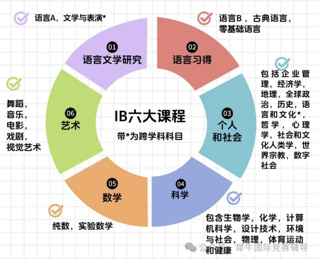 寒假逆袭必备！IB课程究竟是什么？IB课程涵盖了哪些科目？附IB数学、物理、化学、生物、经济班课表新鲜出炉