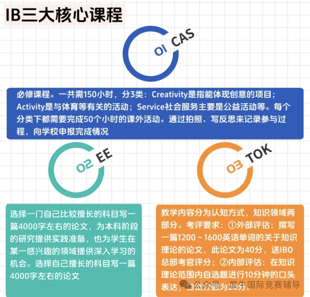 寒假逆袭必备！IB课程究竟是什么？IB课程涵盖了哪些科目？附IB数学、物理、化学、生物、经济班课表新鲜出炉