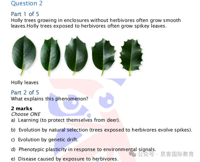 申请牛剑生物医学专业一定要拿下它？BBO生物竞赛一文读懂！