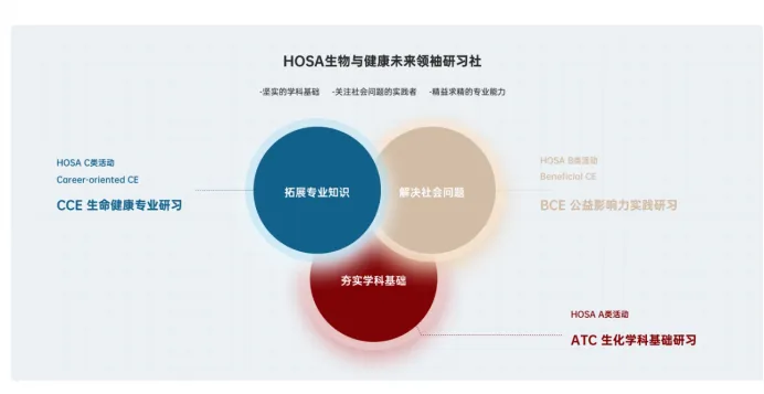 2025年生物竞赛汇总，BBO/USABO/IGEM竞赛该如何选？一文详解！