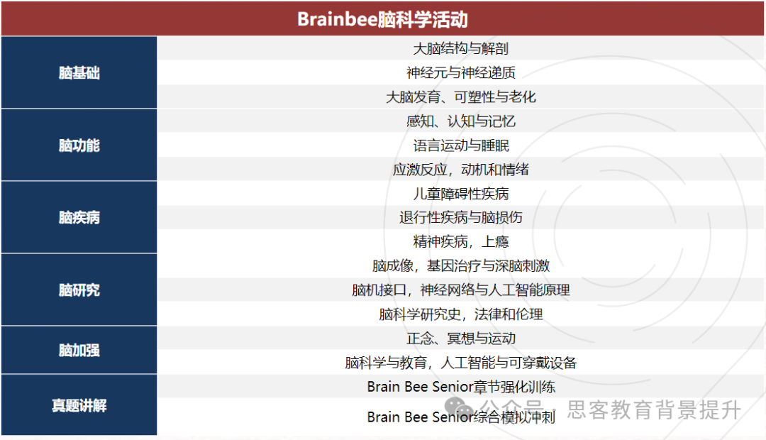 brainbee竞赛备考冲刺阶段！机构brainbee冲刺培训报名中！